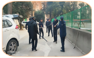 提素质 抓训练 树形象(图34)