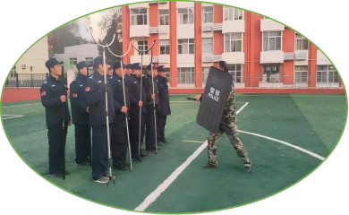 提素质 抓训练 树形象(图16)