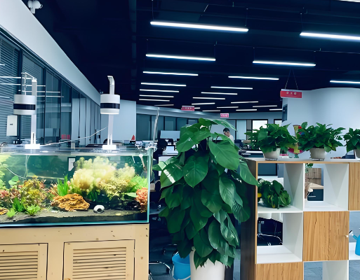 专业人才派遣服务定制